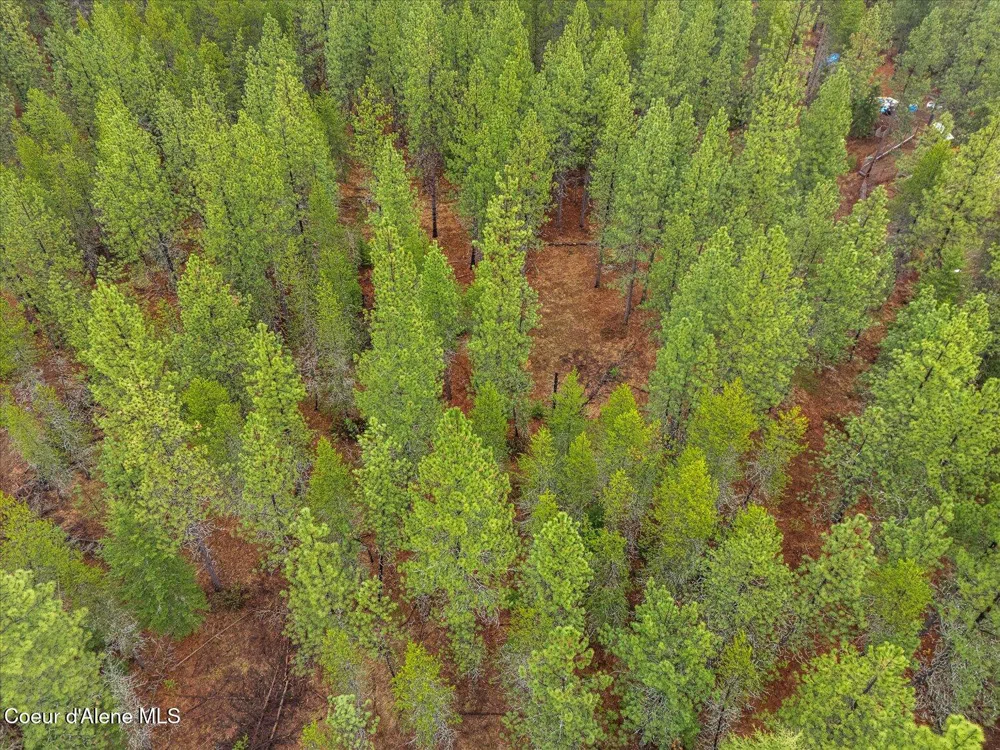 113060 ID-54 Spirit Lake, ID 83869
