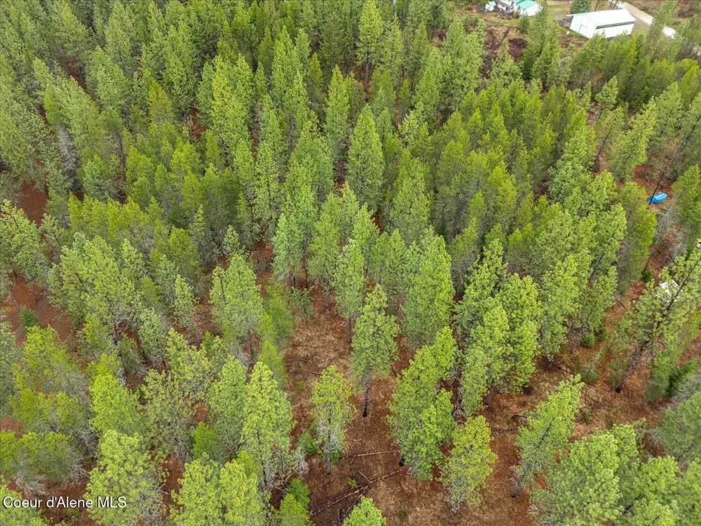 113060 ID-54 Spirit Lake, ID 83869