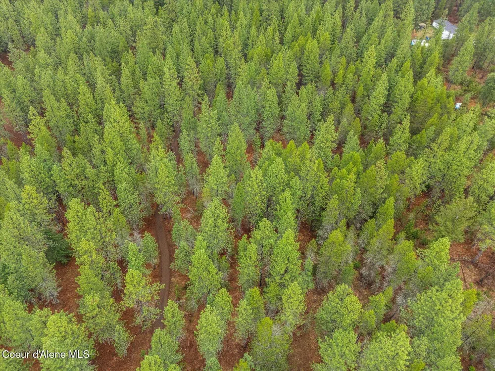 113060 ID-54 Spirit Lake, ID 83869