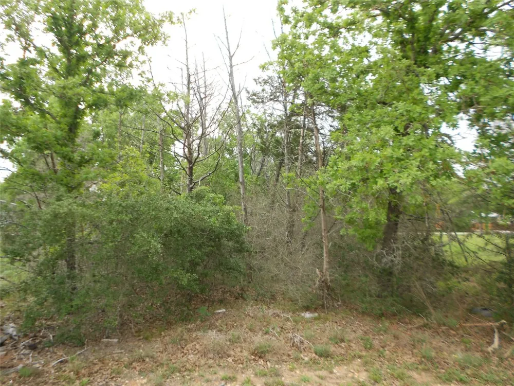 441 Tom Tom Smithville, TX 78957