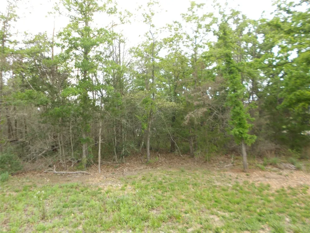 441 Tom Tom Smithville, TX 78957