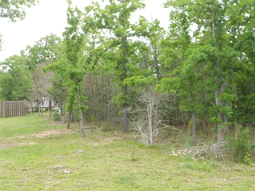 441 Tom Tom Smithville, TX 78957