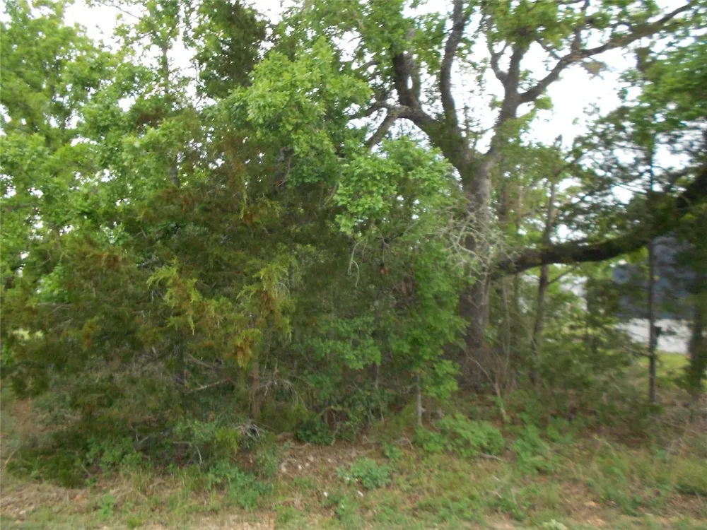 441 Tom Tom Smithville, TX 78957
