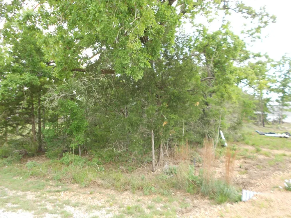 441 Tom Tom Smithville, TX 78957