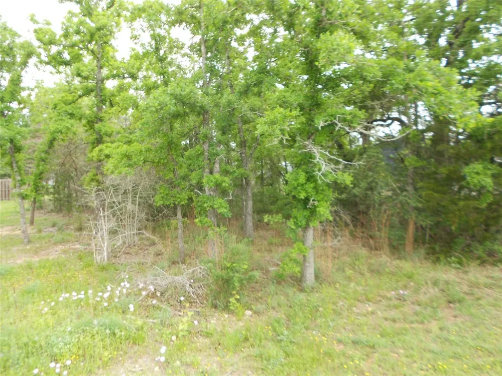 441 Tom Tom Smithville, TX 78957