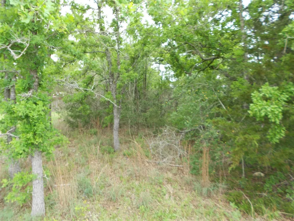 441 Tom Tom Smithville, TX 78957
