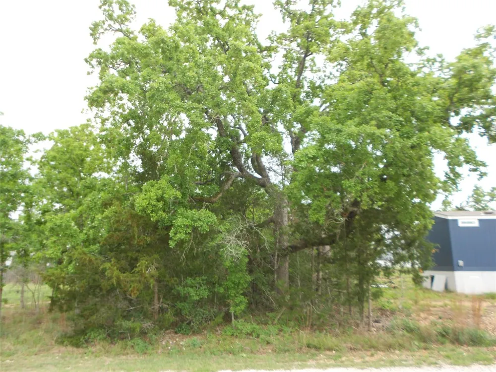 441 Tom Tom Smithville, TX 78957