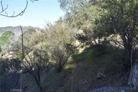 Crest Forest Dr
