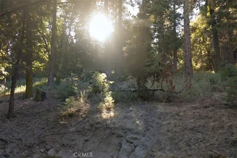 20 Burnt Mill Canyon Road