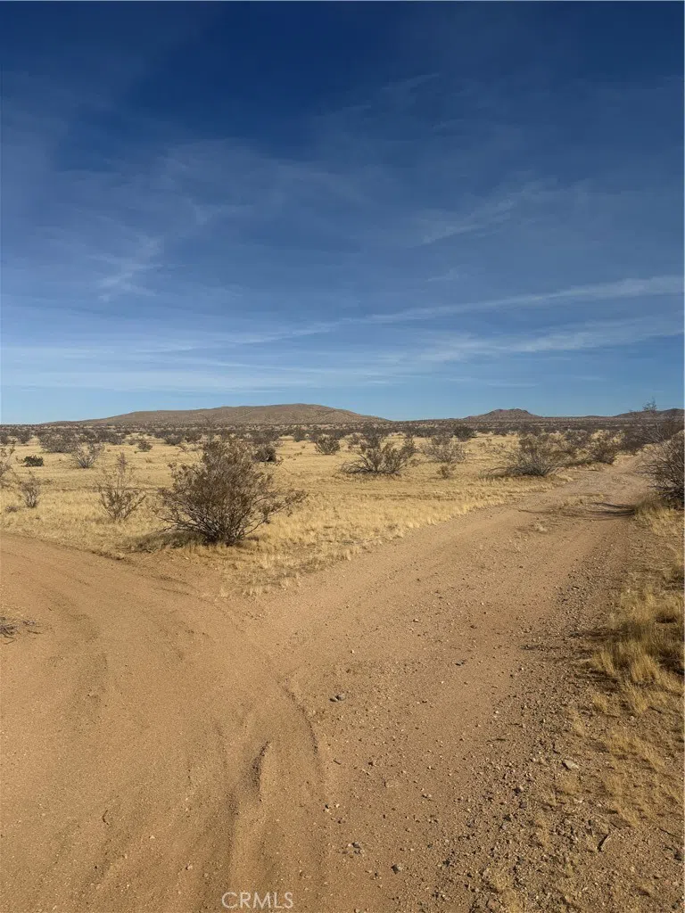 Chambray Street Oro Grande, CA 92368