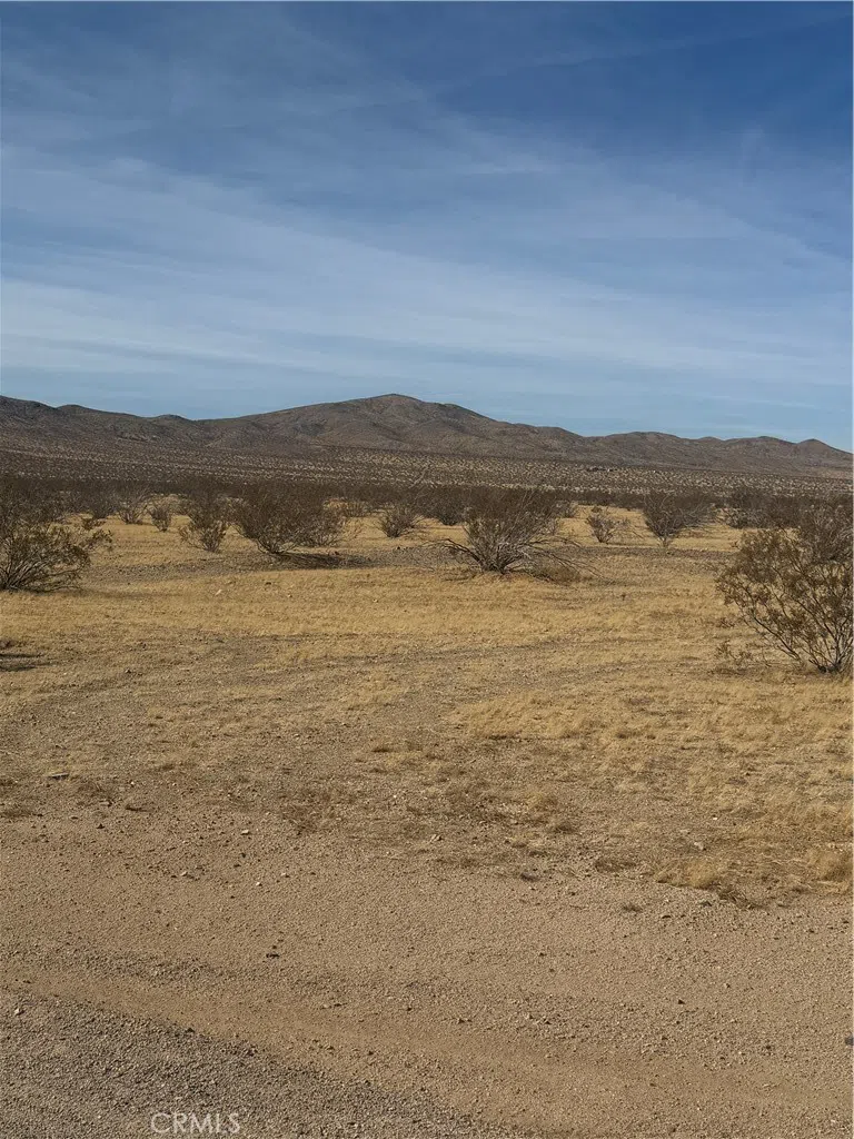 Sky View Road Oro Grande, CA 92368