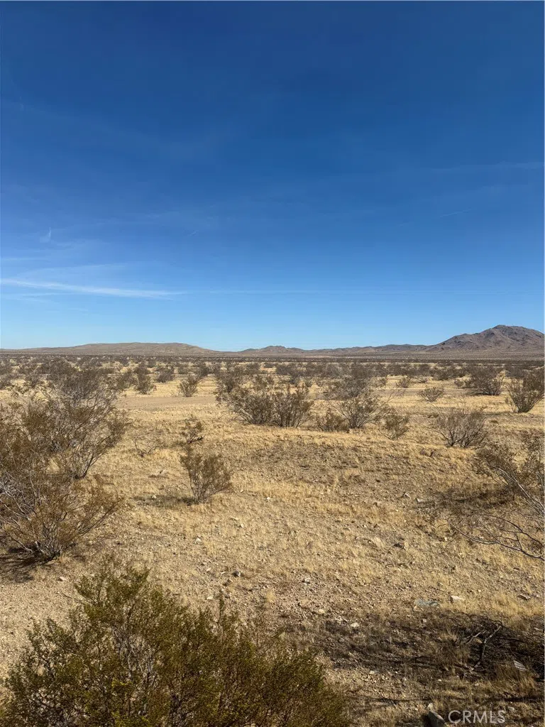 Sky View Road Oro Grande, CA 92368