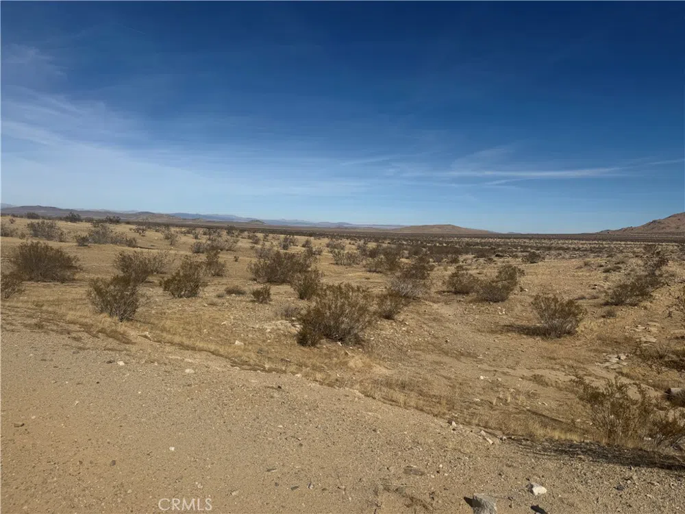 Beechwood Oro Grande, CA 92368