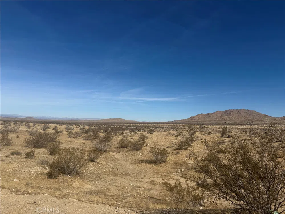 Beechwood Oro Grande, CA 92368
