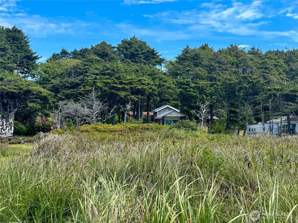 4753 Beach Lane Moclips, WA 98562