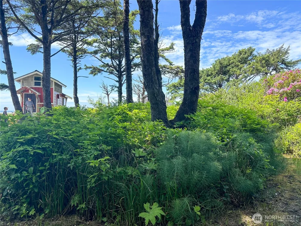 4753 Beach Lane Moclips, WA 98562