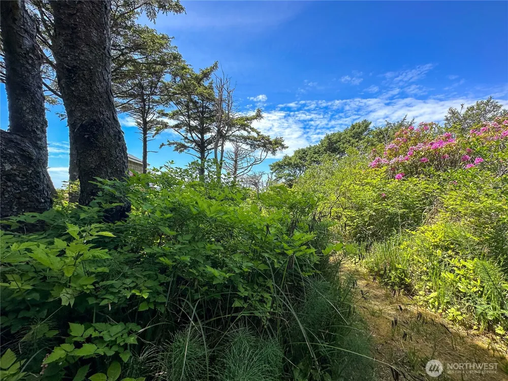 4753 Beach Lane Moclips, WA 98562