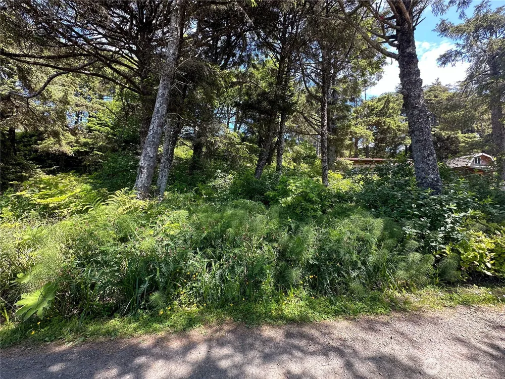 4753 Beach Lane Moclips, WA 98562