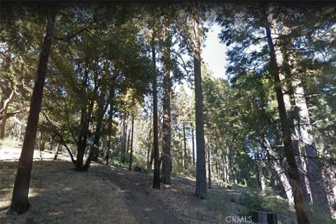 59 Mojave River Road
