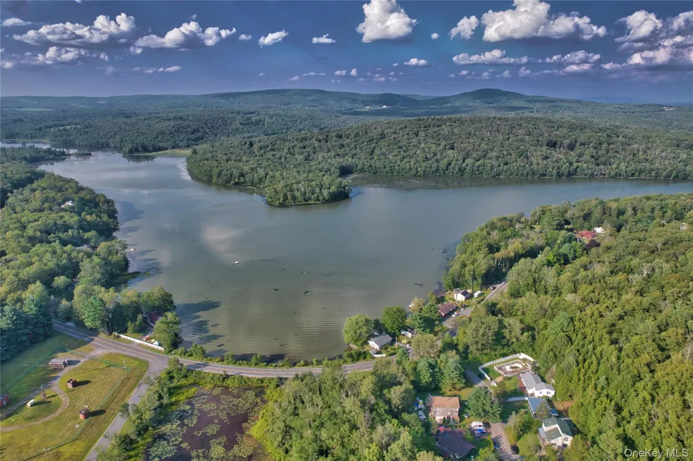 39 Birch Lane Swan Lake, NY 12783