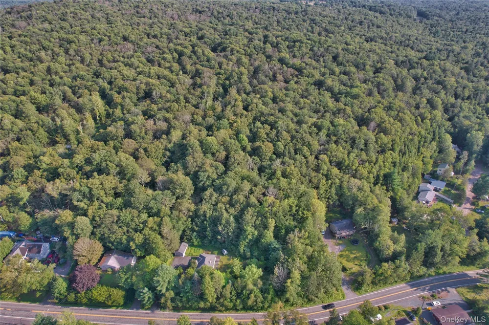 39 Birch Lane Swan Lake, NY 12783