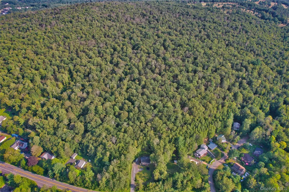 39 Birch Lane Swan Lake, NY 12783