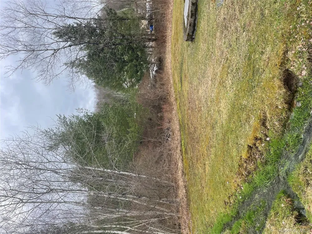 39 Birch Lane Swan Lake, NY 12783