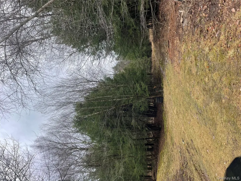 39 Birch Lane Swan Lake, NY 12783