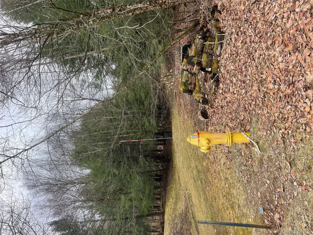 39 Birch Lane Swan Lake, NY 12783