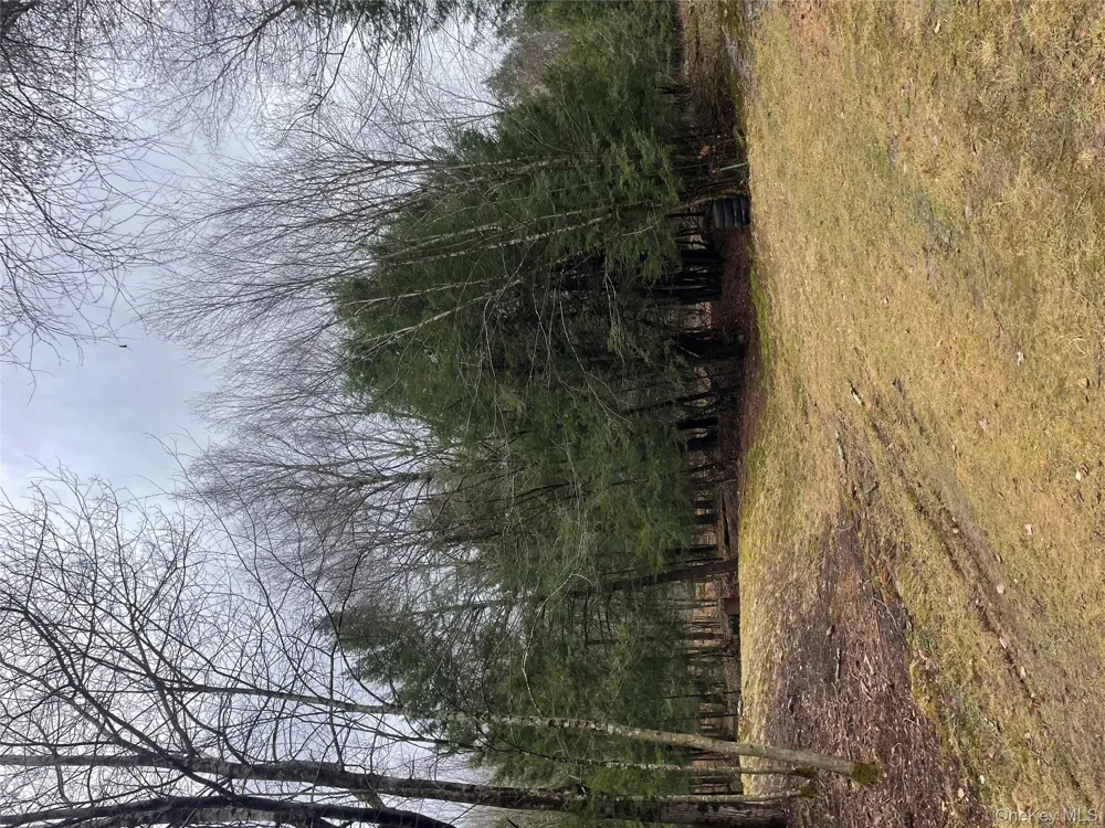 39 Birch Lane Swan Lake, NY 12783