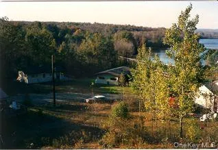 39 Birch Lane Swan Lake, NY 12783