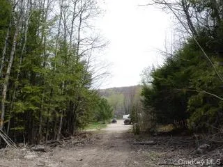 39 Birch Lane Swan Lake, NY 12783