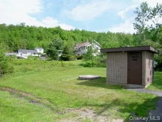 39 Birch Lane Swan Lake, NY 12783