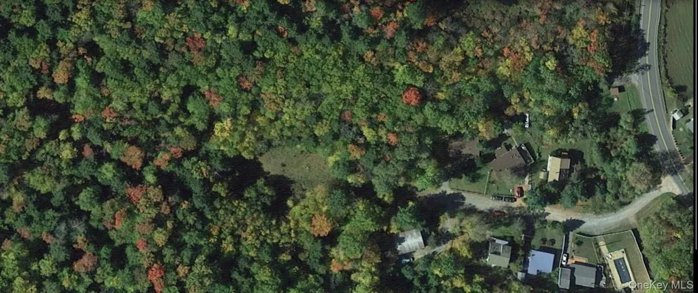 39 Birch Lane Swan Lake, NY 12783