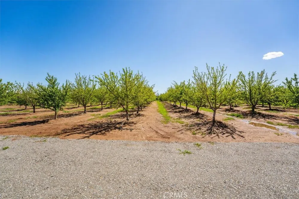 24565 Foster Road Corning, CA 96021