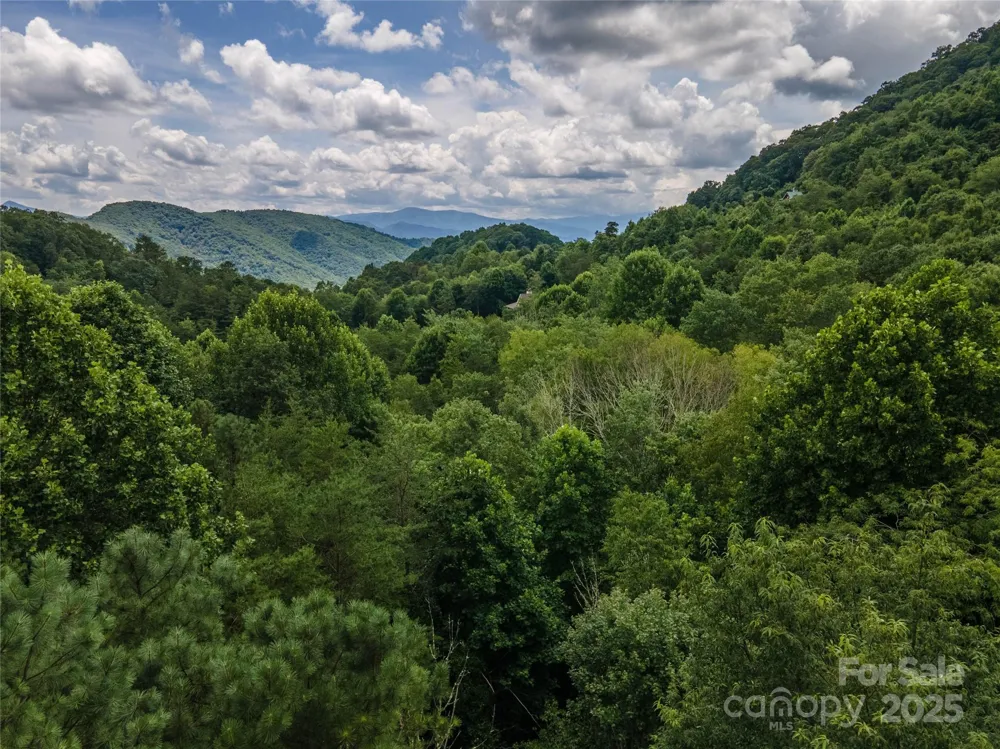 00 Troutman Trail Leicester, NC 28748