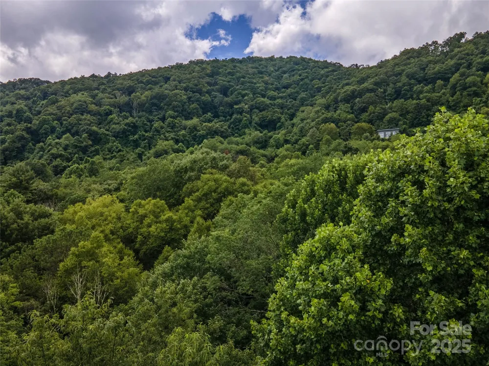 00 Troutman Trail Leicester, NC 28748