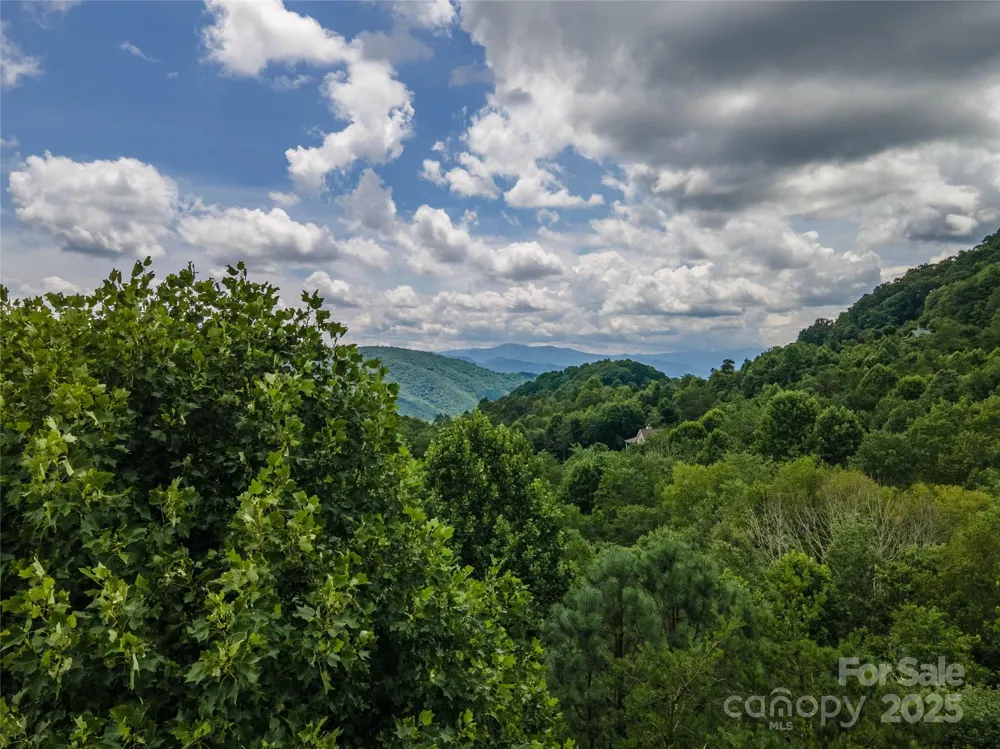 00 Troutman Trail Leicester, NC 28748