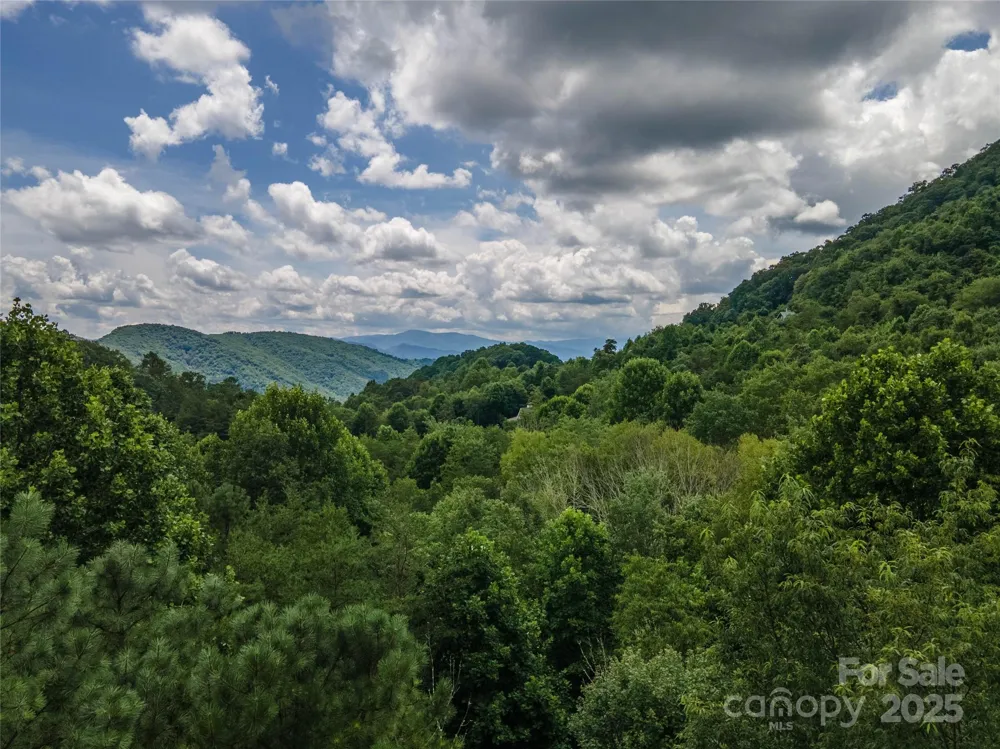 00 Troutman Trail Leicester, NC 28748