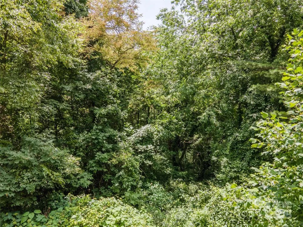 00 Troutman Trail Leicester, NC 28748