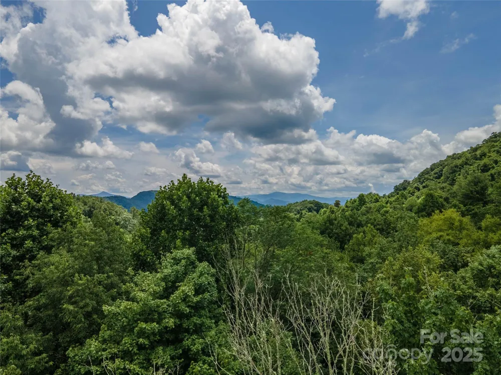 00 Troutman Trail Leicester, NC 28748