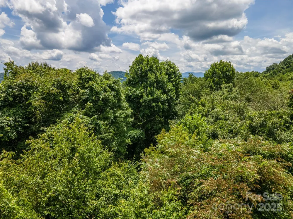 00 Troutman Trail Leicester, NC 28748