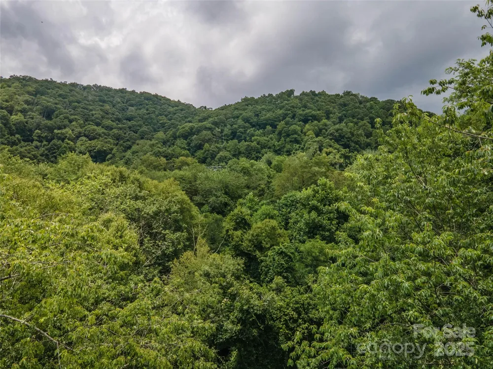 00 Troutman Trail Leicester, NC 28748