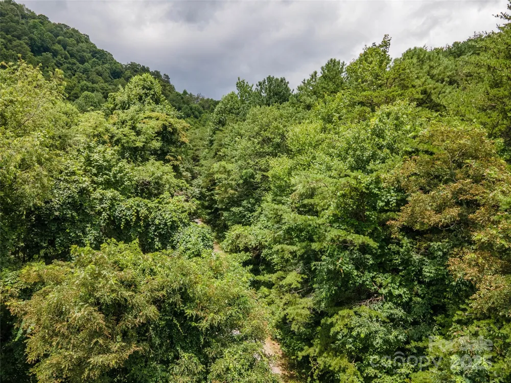 00 Troutman Trail Leicester, NC 28748