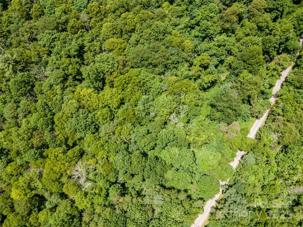 00 Troutman Trail Leicester, NC 28748