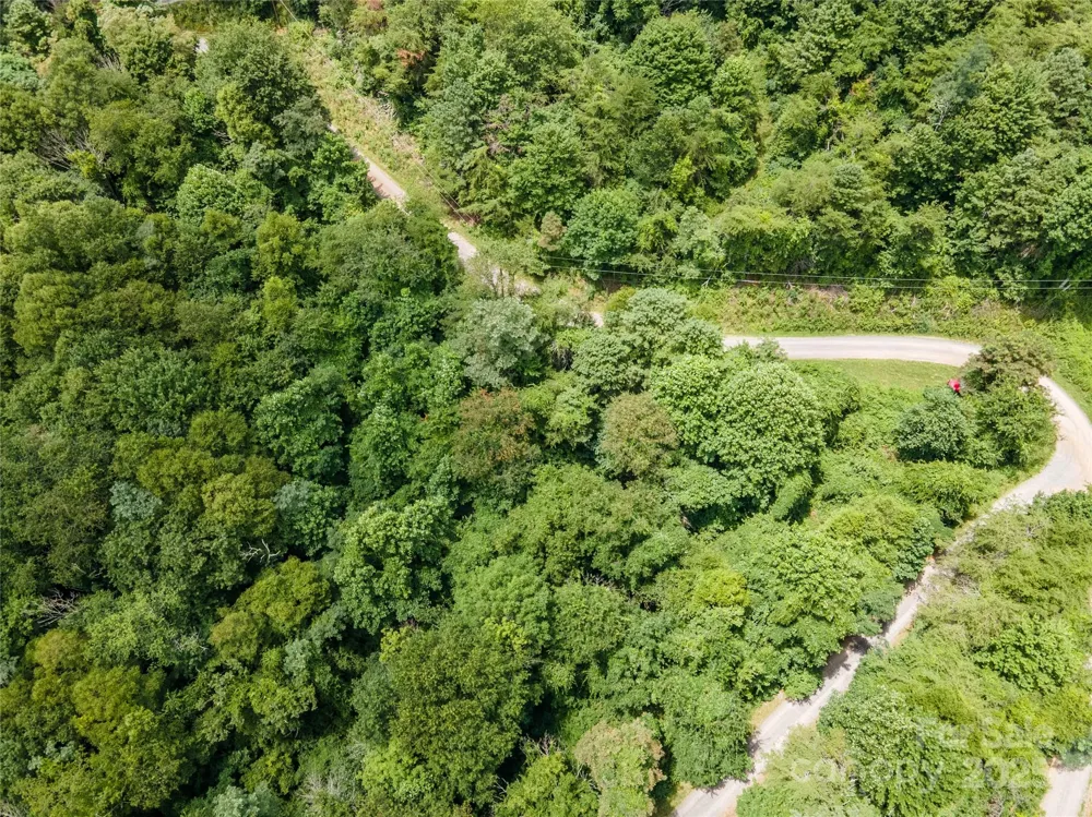 00 Troutman Trail Leicester, NC 28748