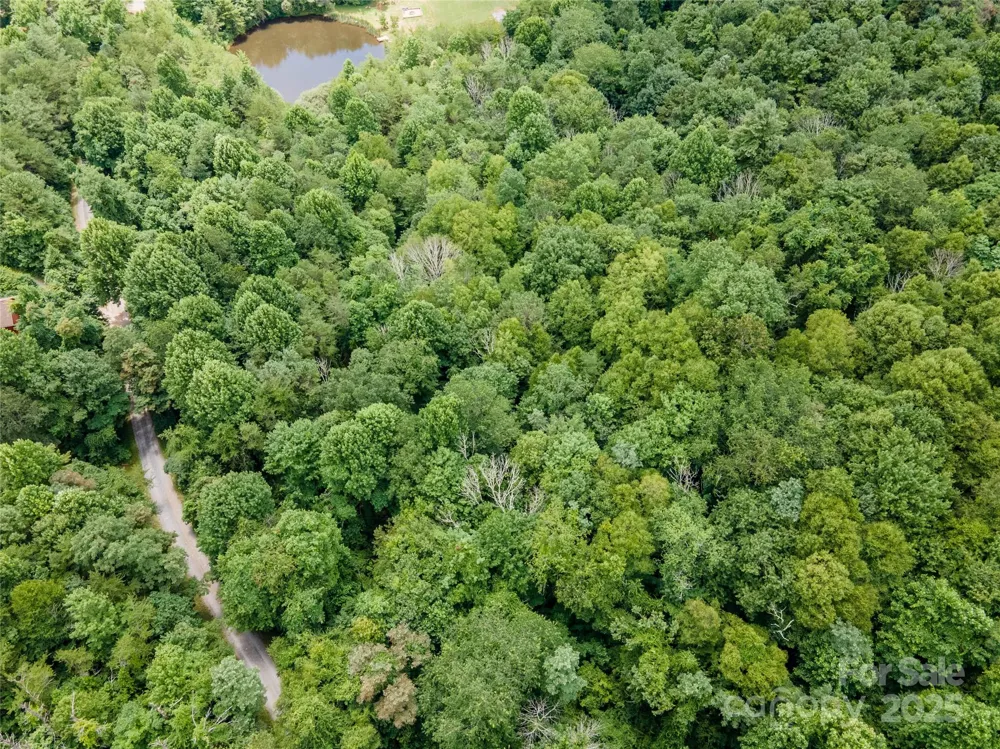 00 Troutman Trail Leicester, NC 28748