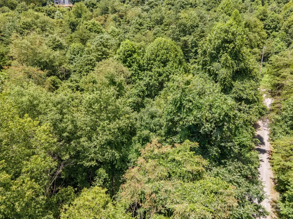 00 Troutman Trail Leicester, NC 28748