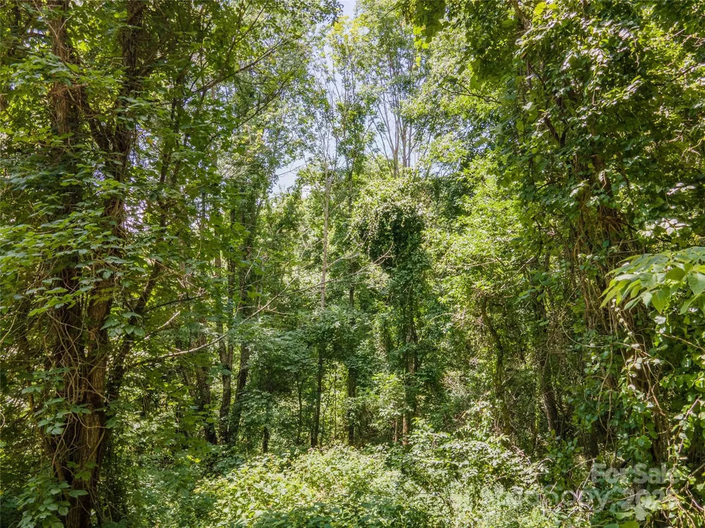00 Troutman Trail Leicester, NC 28748