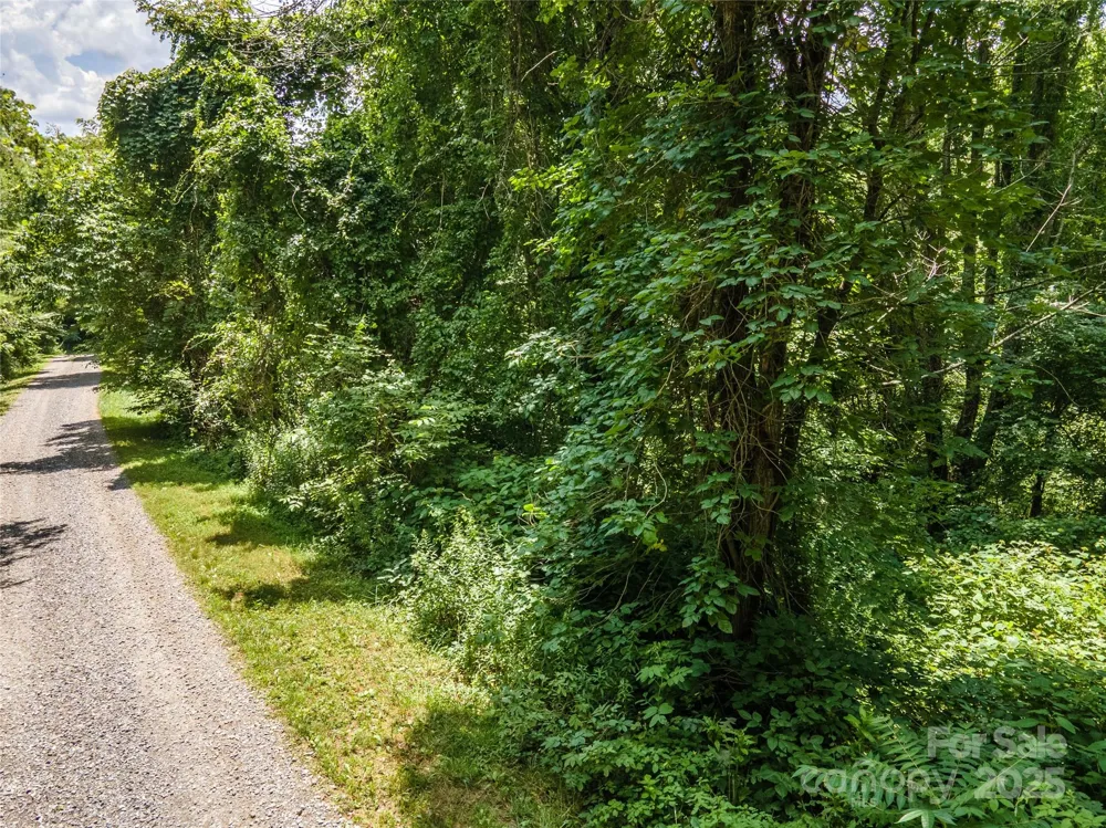 00 Troutman Trail Leicester, NC 28748